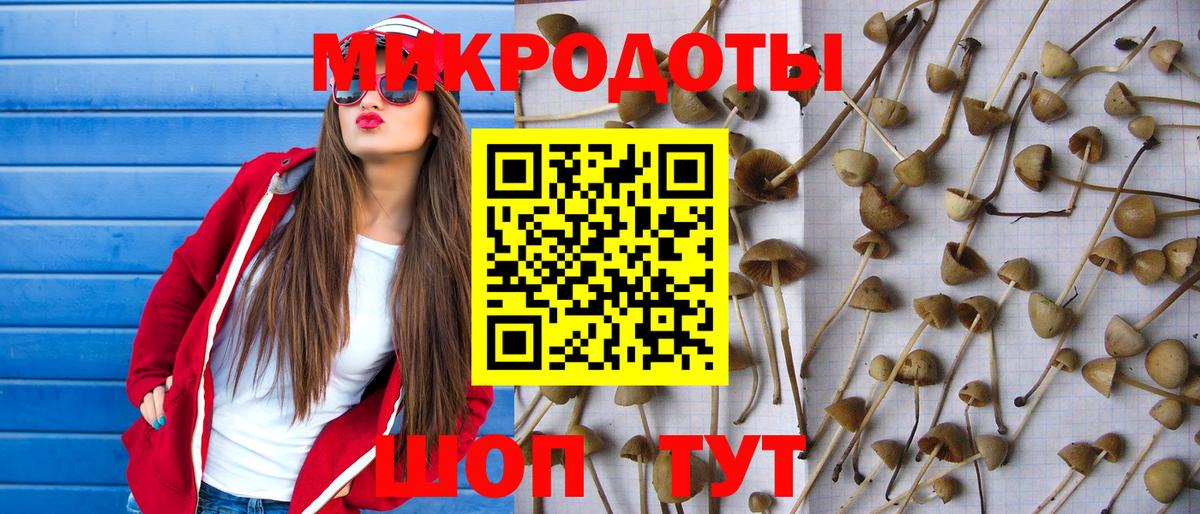 Глазов  Галлюциногенные грибы ЛСД  Вход с VPN 
